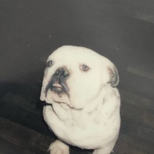 Meet your Posher, Audriana